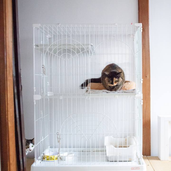 6632ba49 e2a4 472e b732 94f39996a7df 1575894245521