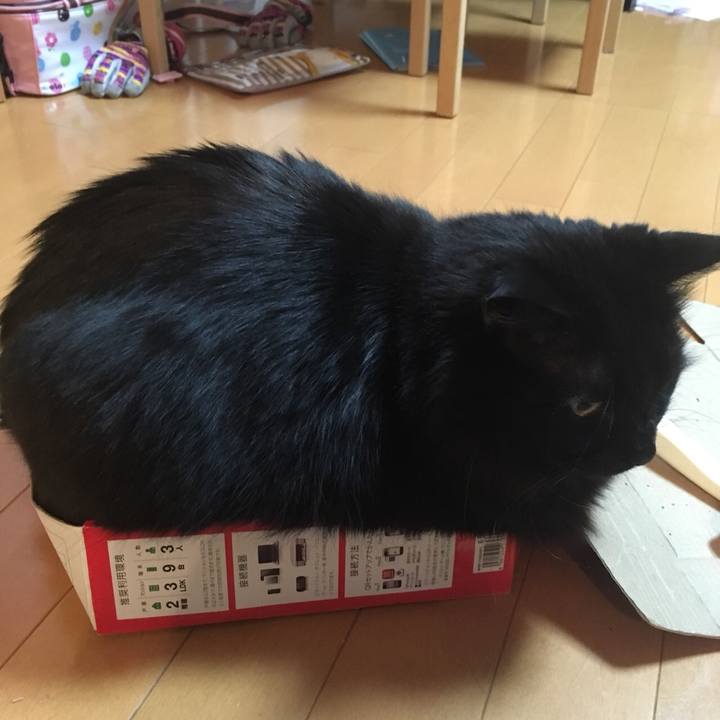 6632ede0 60bf 4357 a076 f4deae72b25a 1516687724927