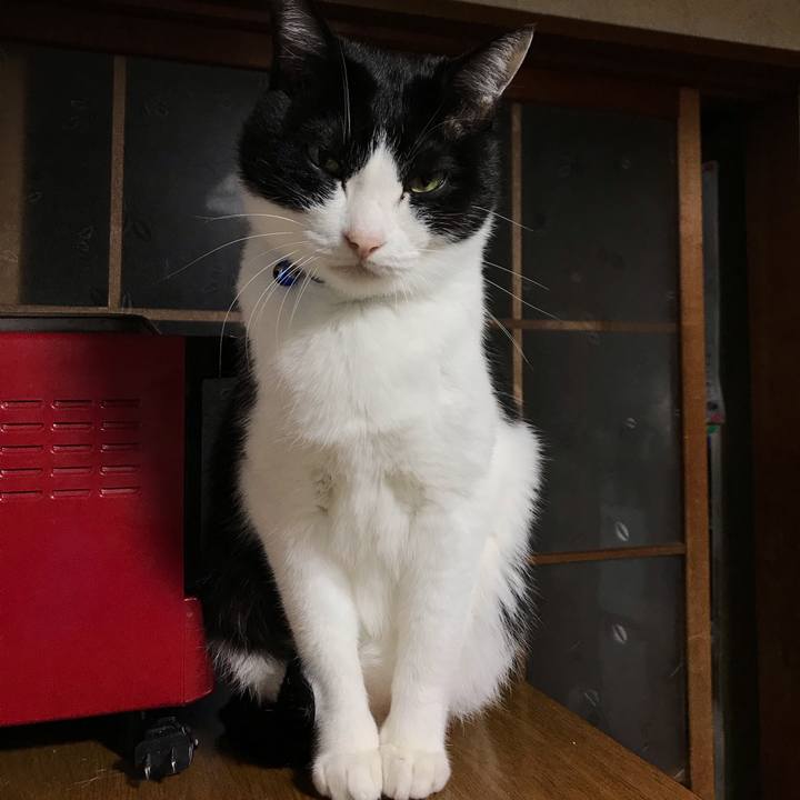 6632ef6d 4821 42fb 9fd0 cf1b39ecd628 1545829459374