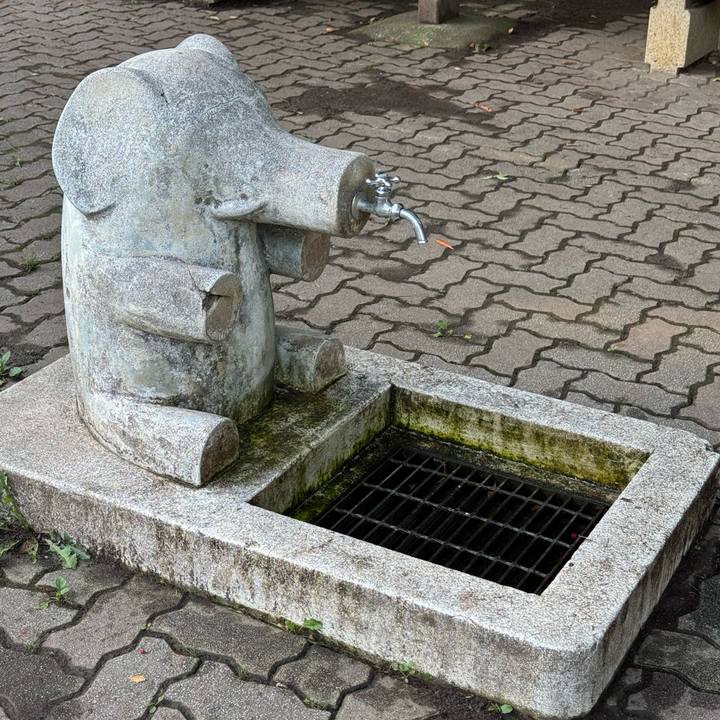 6632f2f2 5bc0 44db 80dc 3ef7d5cb1cdb 1754605157785