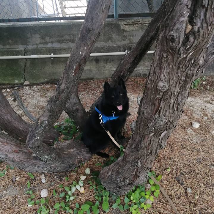 6632f4f2 02ed 4671 9b8e b90710cb822a 1628632320614