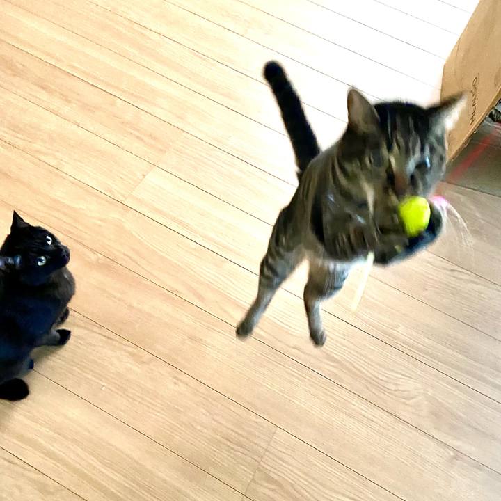 663354ec c37d 4771 b44e 716a6422c6b3 1643532463312