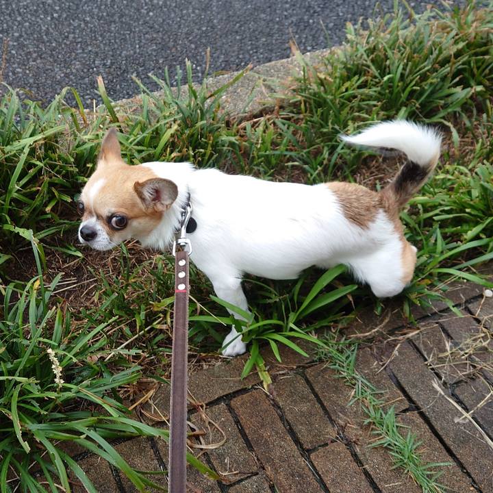 66335a17 ae0e 406e 941c 83e245b9e74c 1630917424521