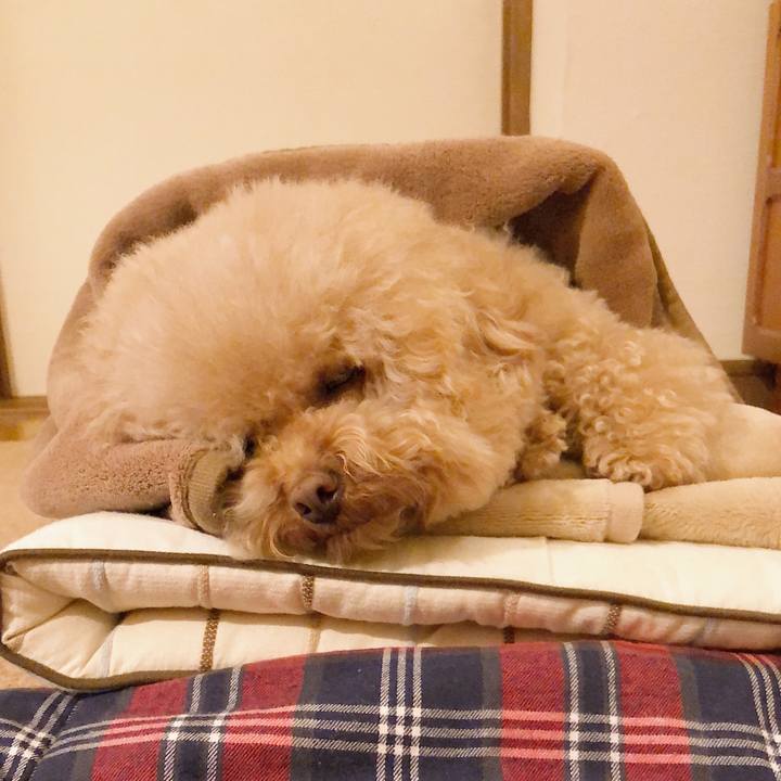 66336aca 14e7 4242 8da7 e0efa1021361 1515133337154