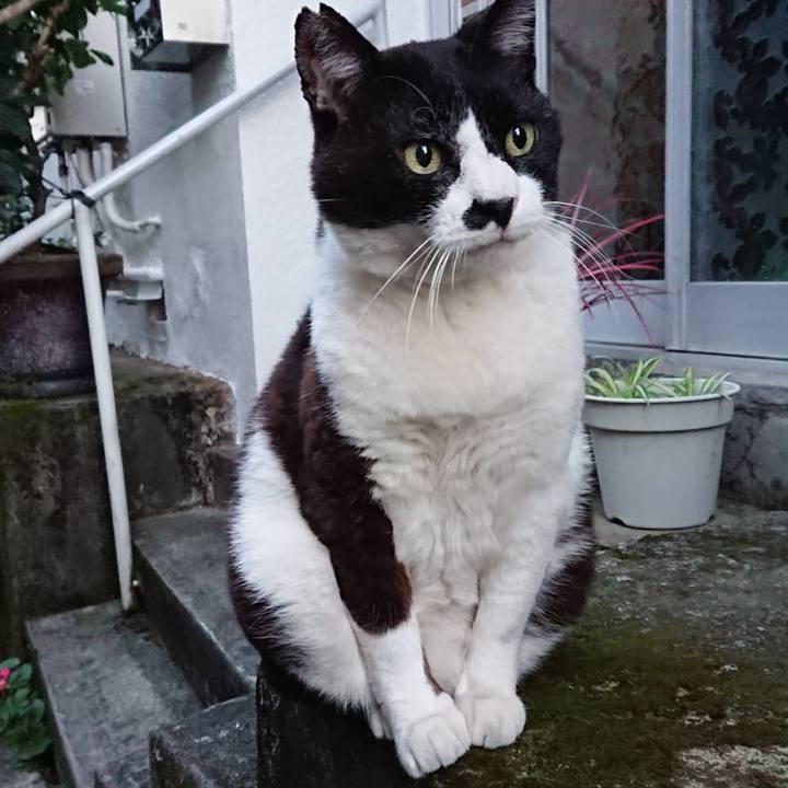 66337a72 c5a2 4dbc aa80 e4da78ac0e83 1636358589546