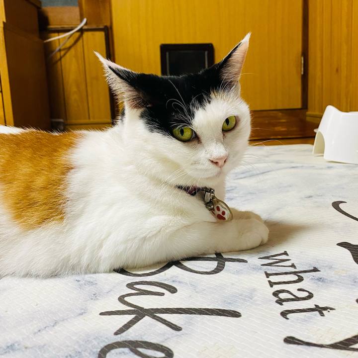 66337dbe c267 4c6d 846f d468842a8be2 1726653791946