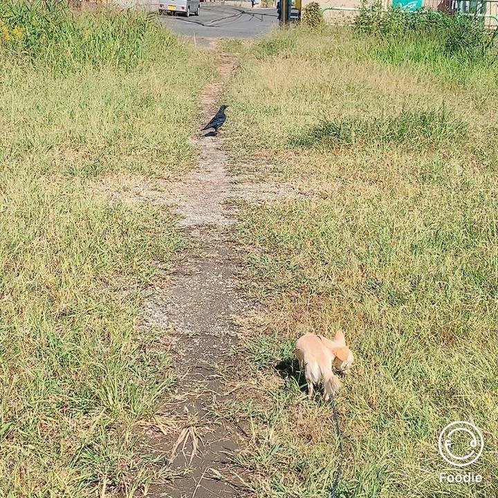 66338a53 6a98 4874 b060 aa722455a12a 1602820135217