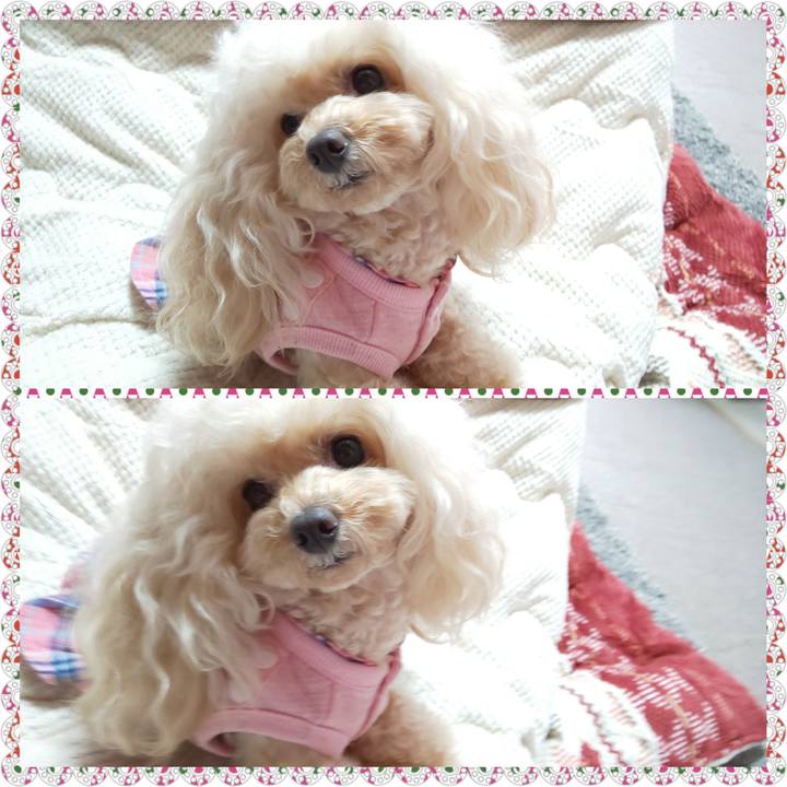 6633d33f 9ef8 4048 88c3 b9536cc8dff0 1668156177432