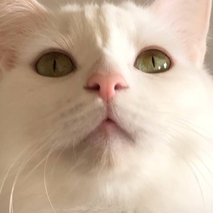 6634739d 1dae 4e8e 8ba3 2c5f97349483 1579870436959