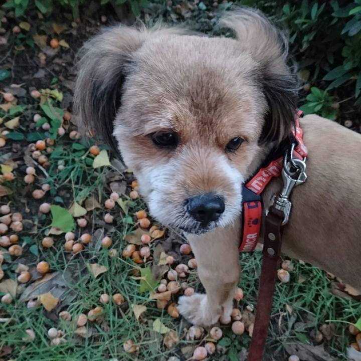 66351c1a 1f2c 4874 a0d9 aafa4618e072 1537522418194