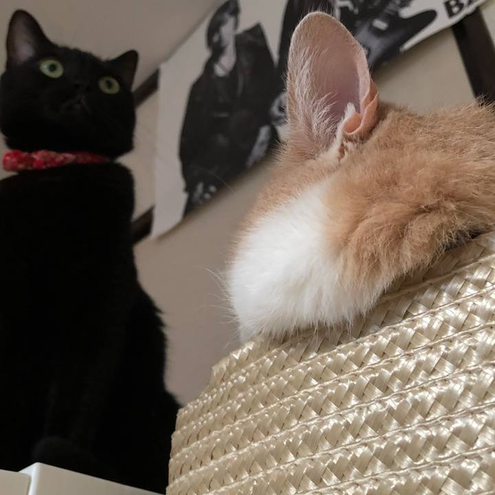 66353560 b94d 4827 be1e cf6e16b03c8b 1507765005412