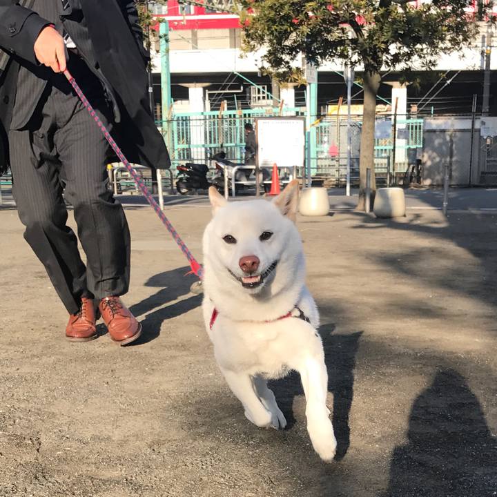 663539b2 92d6 4923 88c2 880552fea8fc 1517182462037