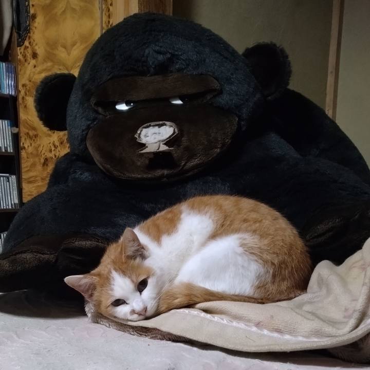 663556c3 d238 4a49 a9fe 989c164b43db 1766311184369