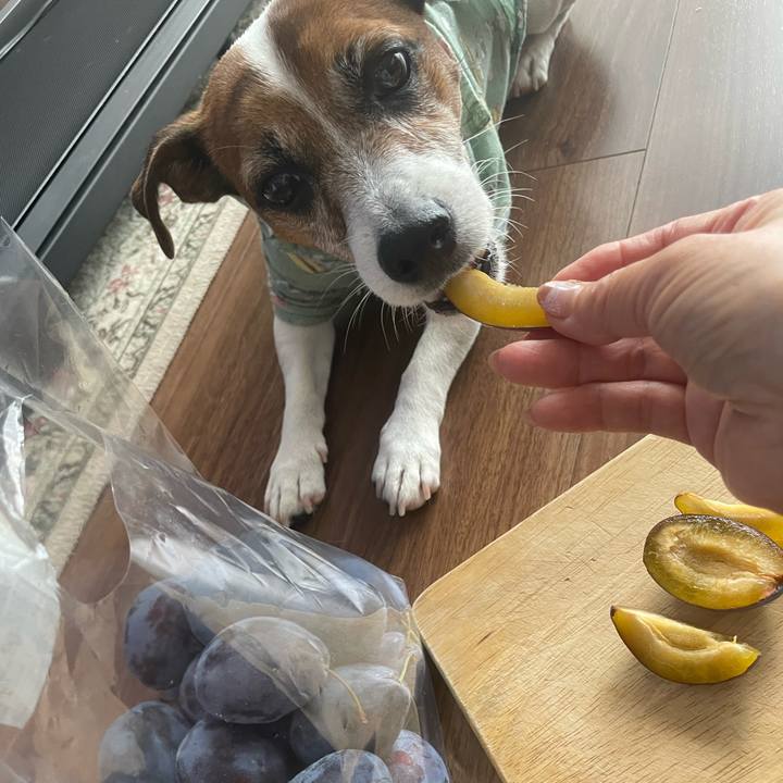 663559ca 3c75 4751 94c5 32189190d452 1758334094387