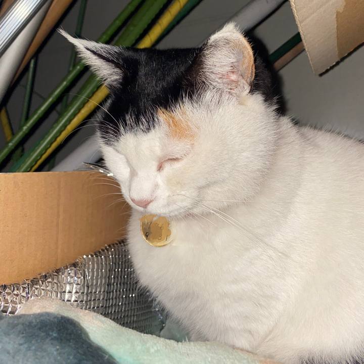 663567ee ef01 421d adde b4e2003e77cd 1638918282399