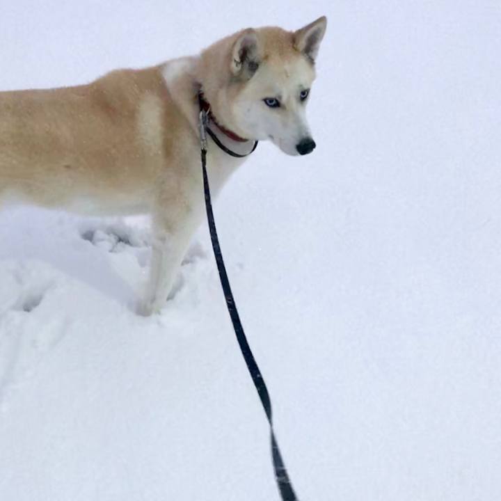 663572ae 7849 4297 bd0f 22fe77db622b 1516610736683