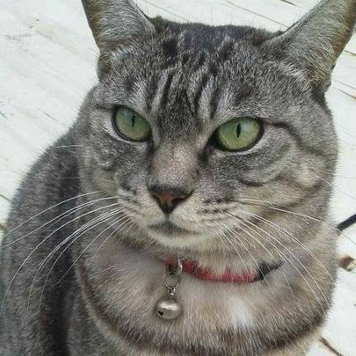 663588aa a91a 45bc 968f cd7d8e443d3a 1579298416091