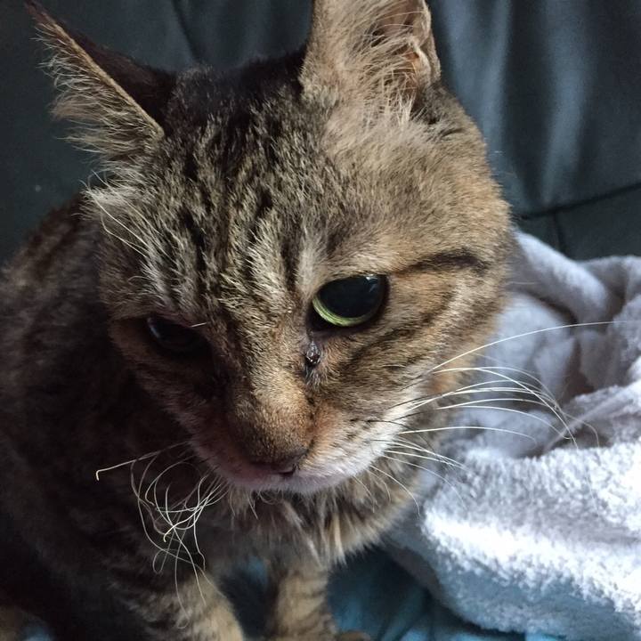 6635a198 7257 41f1 8396 c4bb2b7d0d7c 1576102985046