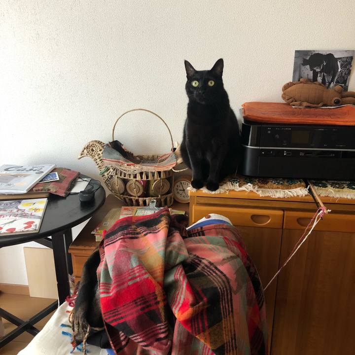 6635de6a 683e 4634 ba87 57cb97837178 1572395175346