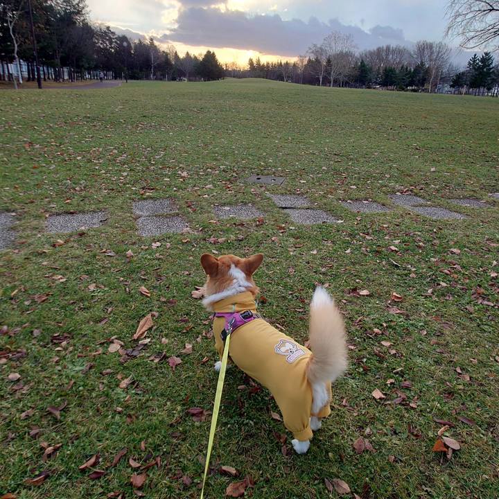 6635f35a 69a0 48e7 8451 9c6f6e96e190 1763681447833