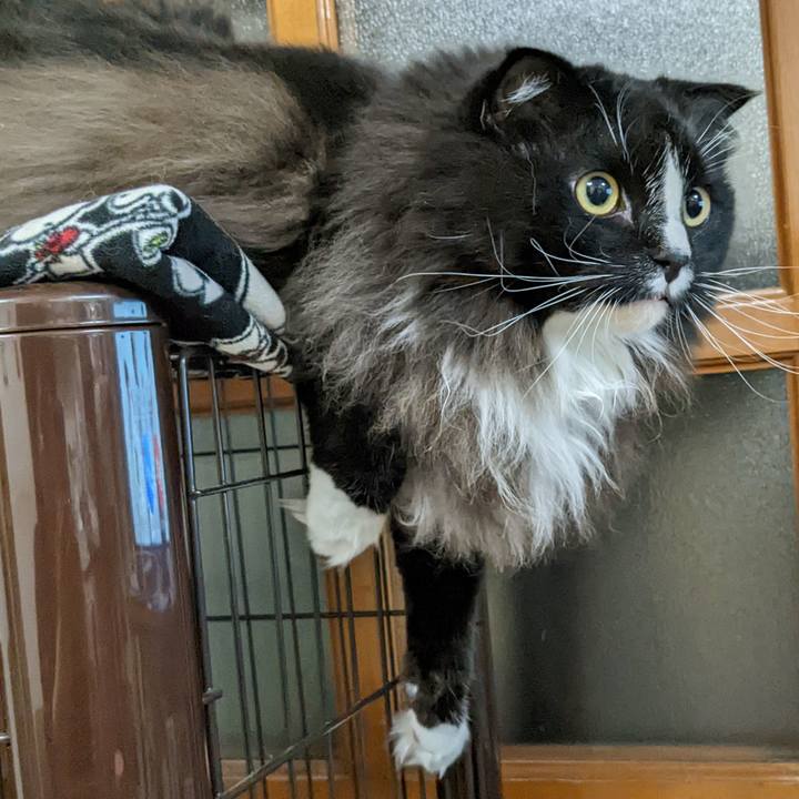 66360a70 e6de 4fcc 908d 9623320f0a69 1667823653680