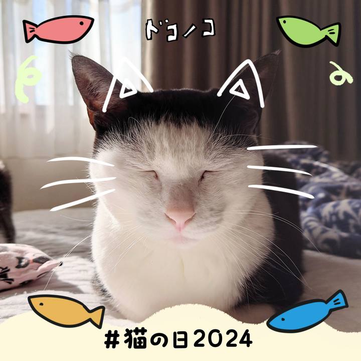 66361fb5 00c7 41b5 8b11 95f4c4ae769b 1708559571389