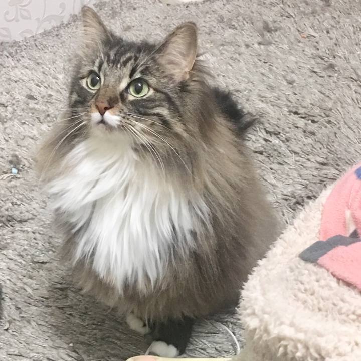 66362d56 3095 4e8c 9924 54f5b7406aa0 1523108517934