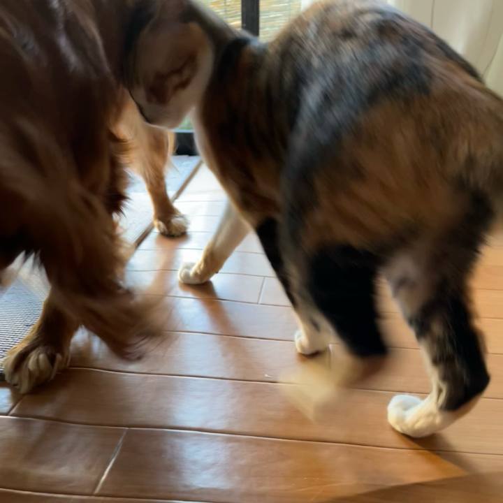 663636c1 5225 49df bc46 bbd133a82d43 1664669291634