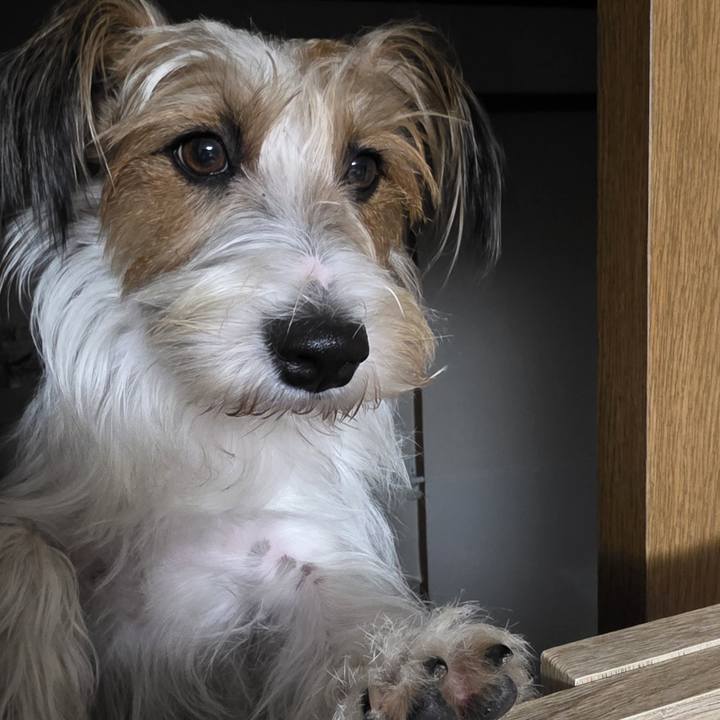 66364012 7781 4fb7 a3e5 d87ebfdf421f 1762432754356