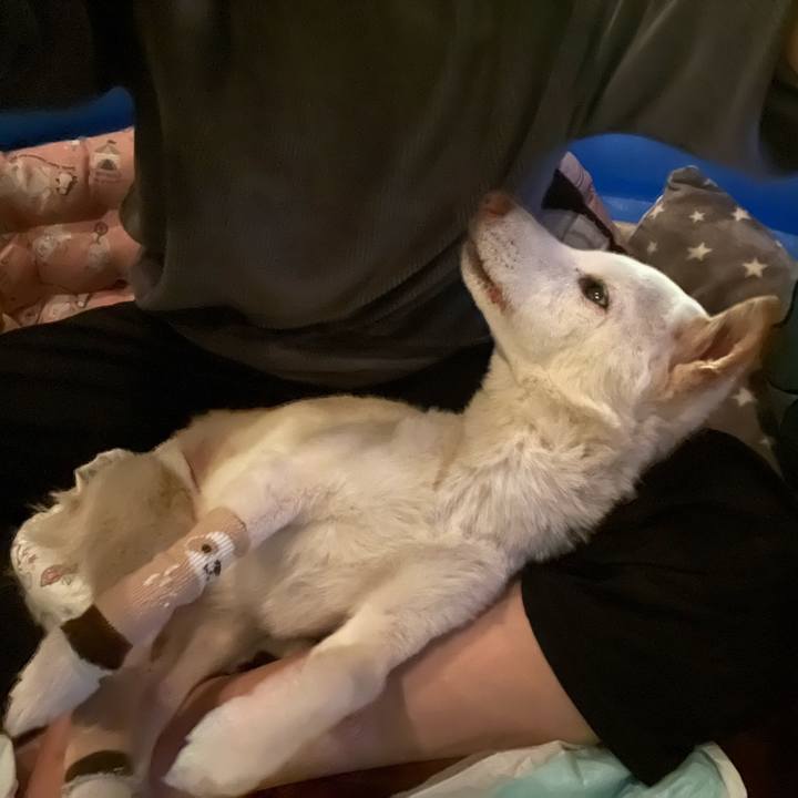 66364428 00ee 49f5 9d3c 9cb5d4cfbf45 1679493631196