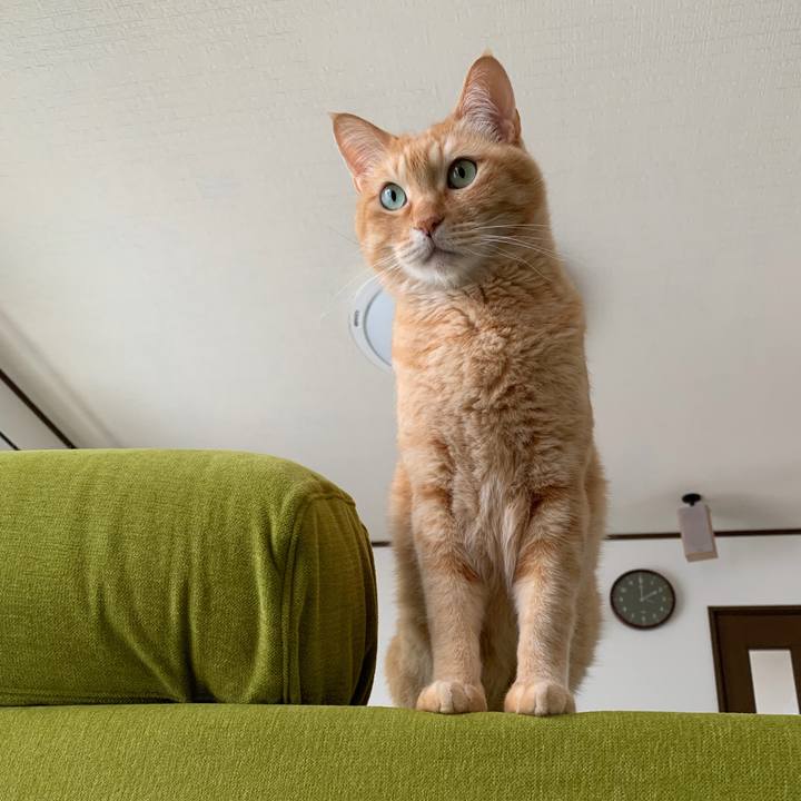 66364d8b a938 4019 a5a0 7a40eee09b9d 1759182072090