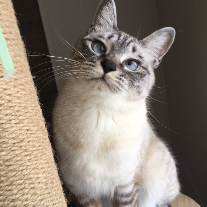 66367594 44cf 4b7f 9d96 1d2a63648c3a 1583033386237