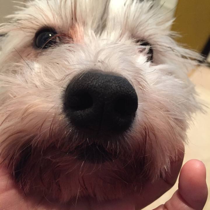 66369a48 9dc9 40bc a4c0 31512797892b 1524106380472