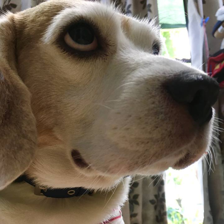 6636b467 6122 486d a4c9 47e341e2a676 1570341460753