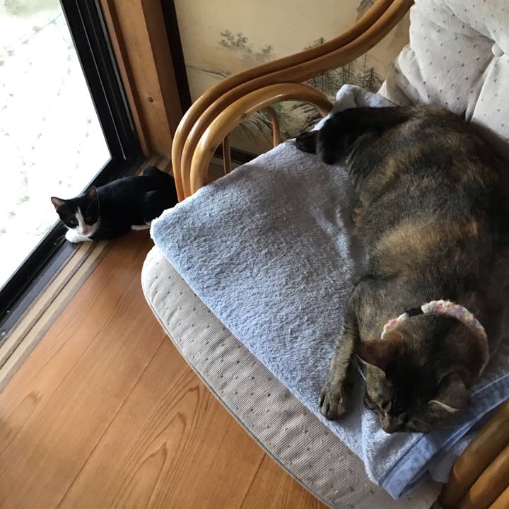 6636b918 f310 49c6 aadd 8e994fd3556d 1627703089390