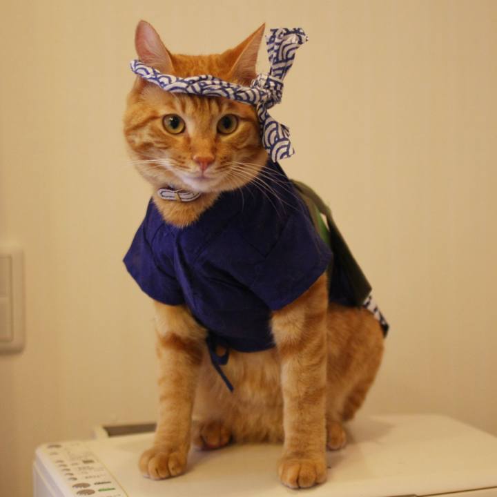 66370c17 5974 44c3 8e1e b127c8331927 1720326485936