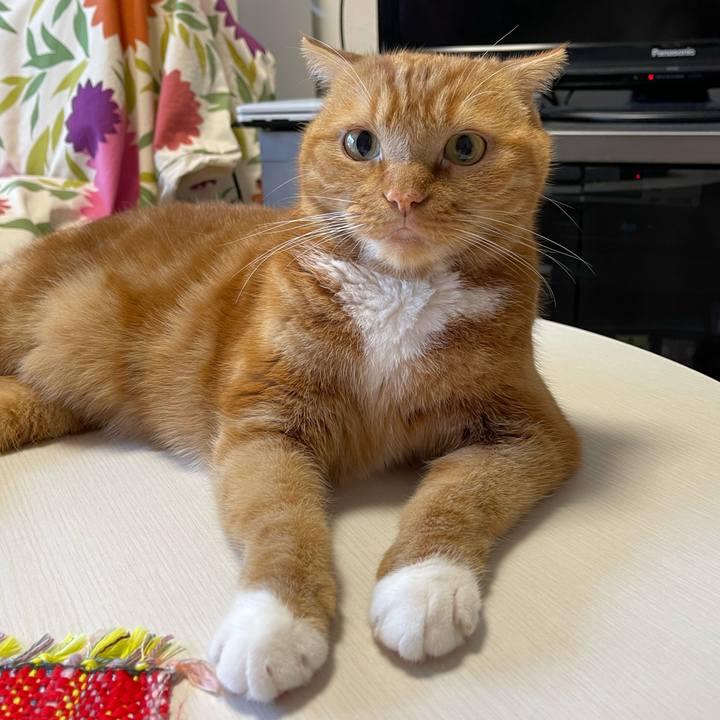 66370e28 ef07 4f04 8cc8 d72f536a3809 1662272113790