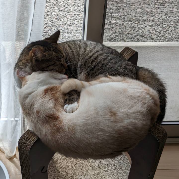 66371cc7 5b43 41ff a796 73d1ac17a841 1691718648843