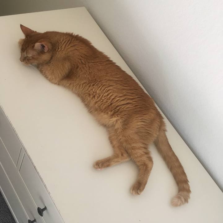 66371d91 fed9 4929 95a8 d63baa24a22e 1653954938060