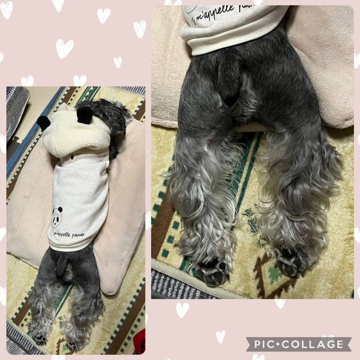 6637238b 3eac 41e1 9fac 4d96eb9cd9f7 1744640764599