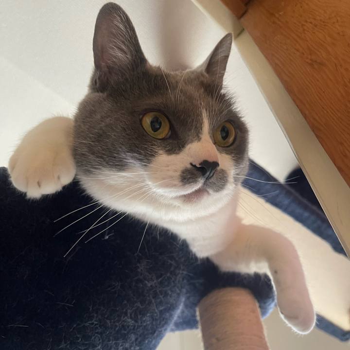 66373831 d6e7 4602 b892 f582befef2b1 1745451245580