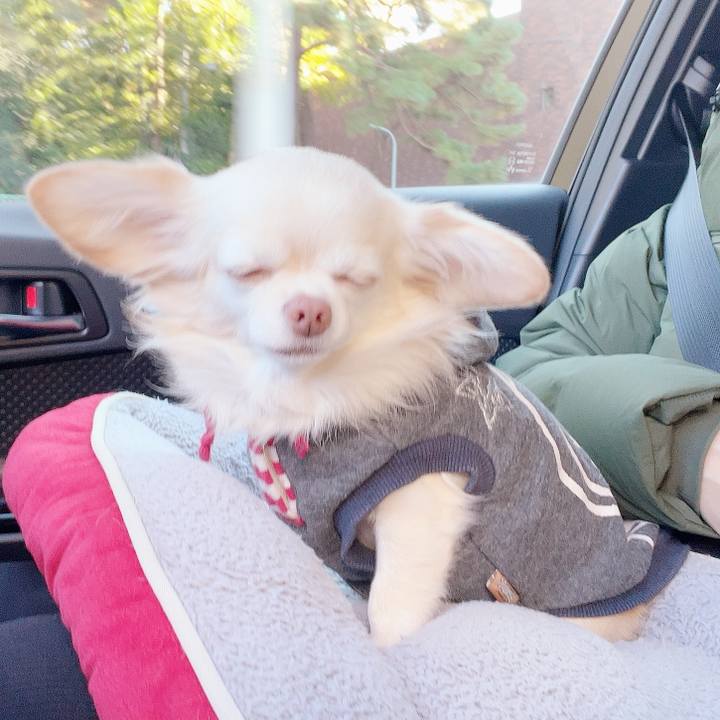 66373956 2c99 41e9 bc36 68df0783b424 1732412704700