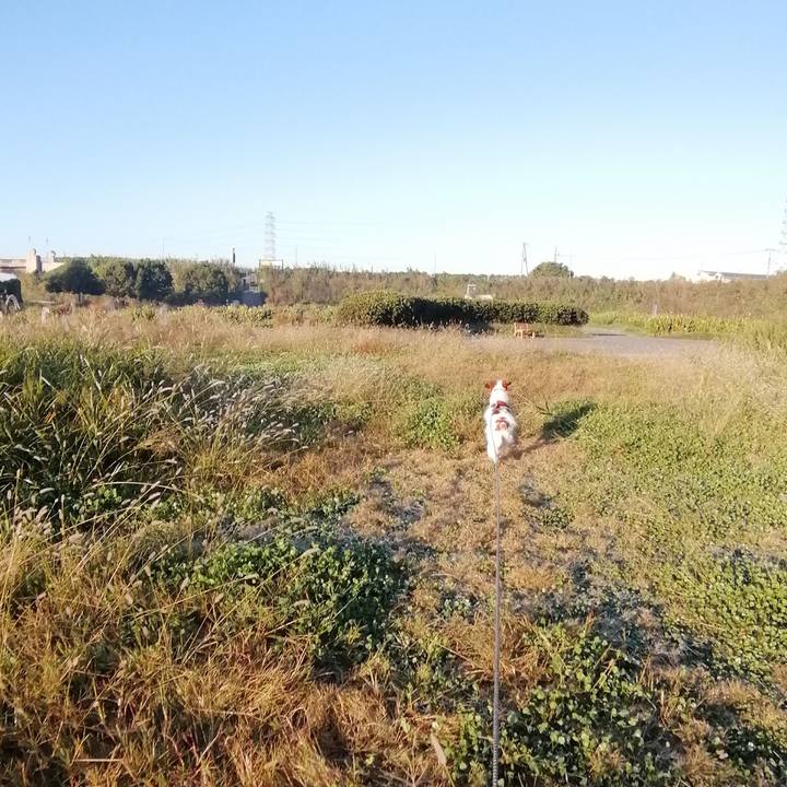 66374984 2ec0 4270 97bf bdf9ebb70cdc 1573348768427