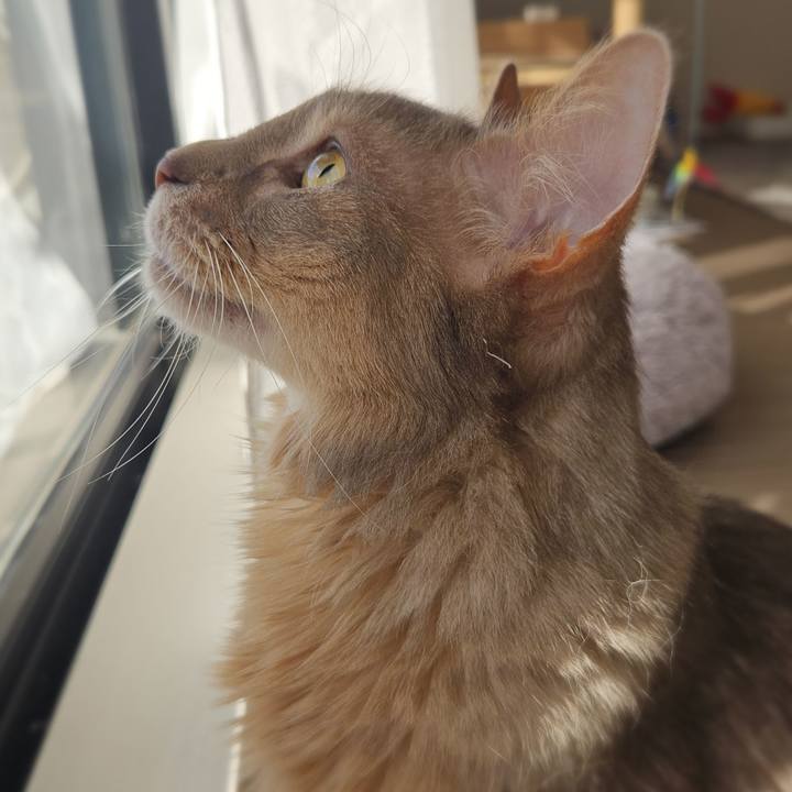 663789af 7182 45e4 8706 3a79de76d0c5 1772700426048