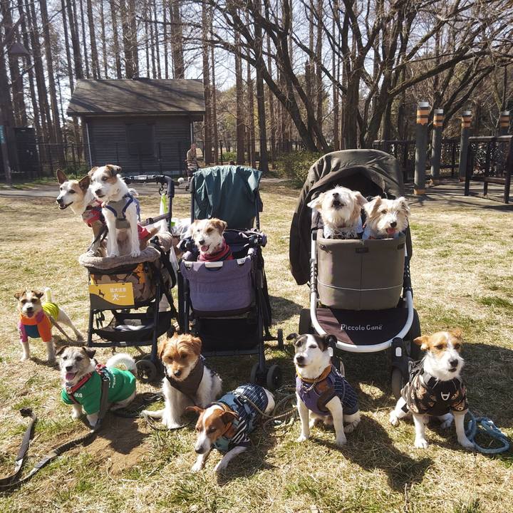 663789df fb6e 4c57 9bc9 3a2d7924cc80 1740798679838