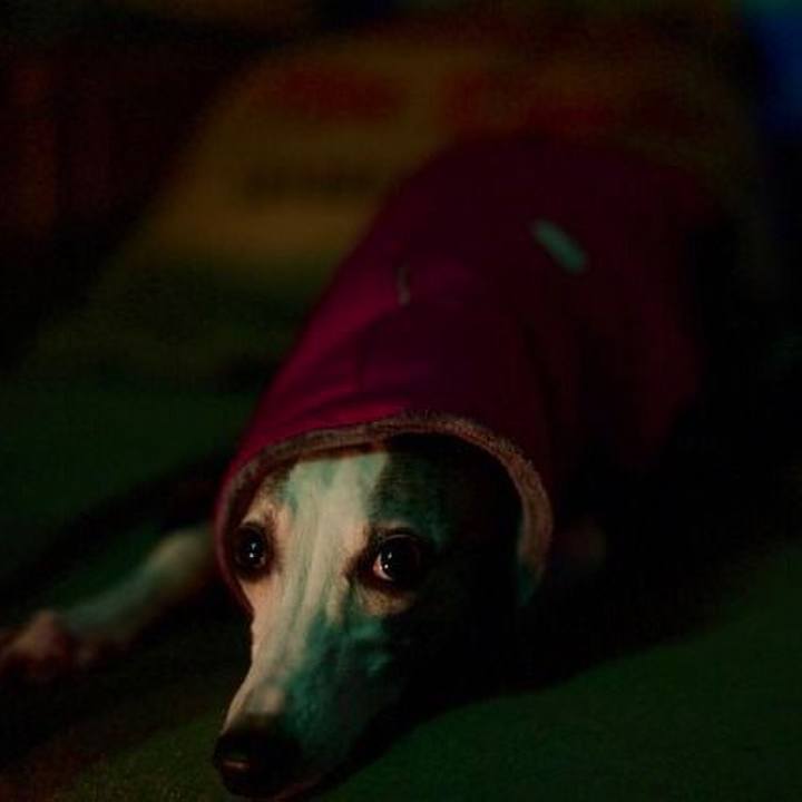 66378c52 3b2f 4baf bf86 c5bb63ef8d77 1515919032030