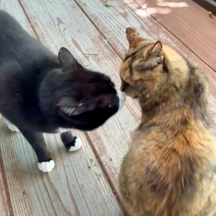 66379b81 39aa 422f a6ce 1dd0f55b92a1 1747102664225