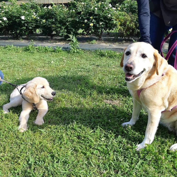 6637db17 4a34 4fe1 86fd e3111a3ac428 1652066479216