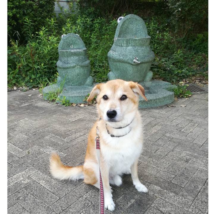 663823dd 6443 4c81 8741 e44fa877848a 1532036254898