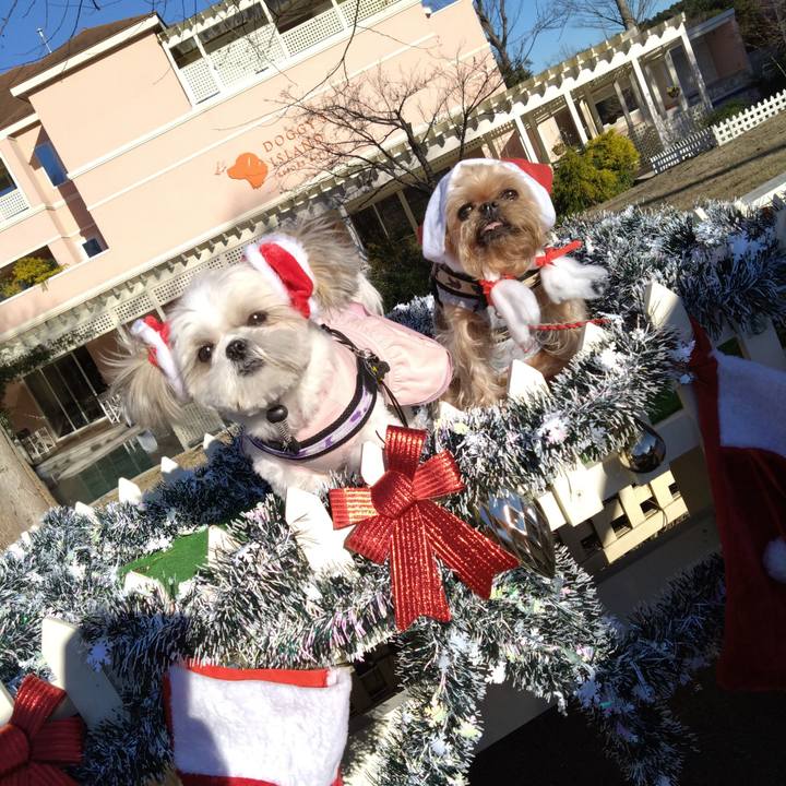 66382a6a 6b6c 43e4 99b6 1179ea473c93 1671839565528